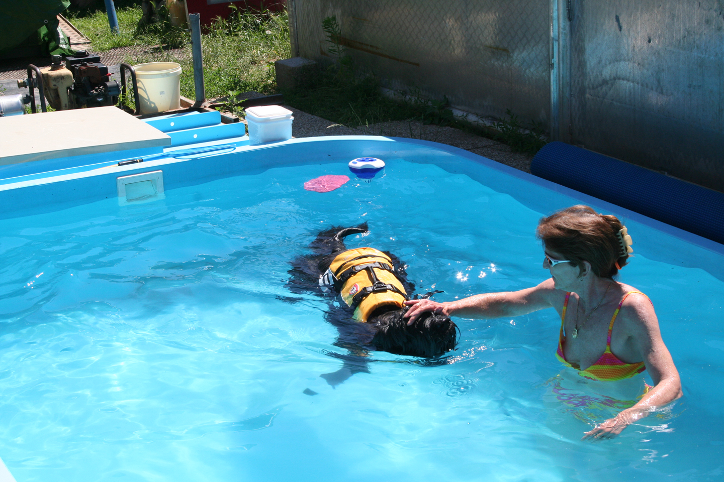 Jag ist etwas unsicher und er ist lieber mit der Schwimmweste unterwegs/Jag is a little unsure of himself and prefers to wear a life jacket